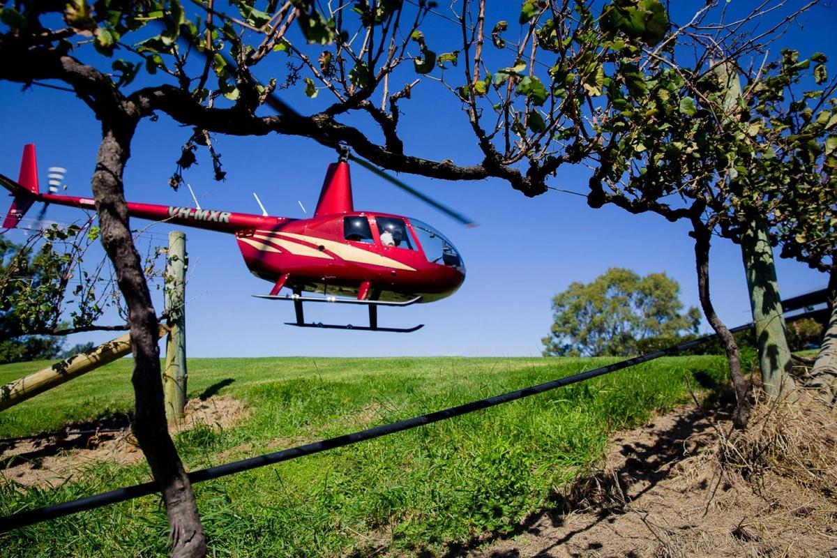 Fly & Dine In The Vines