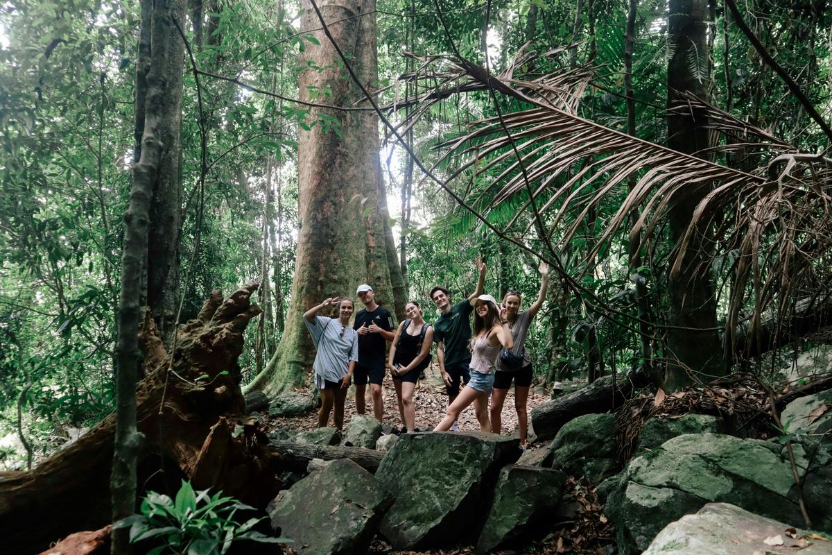 Super 7 Waterfalls and Natural Bridge Tour at Springbrook National Park