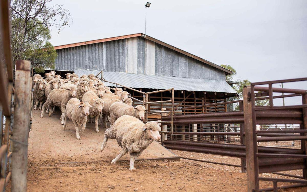 Unleash Longreach Holiday - Six Days
