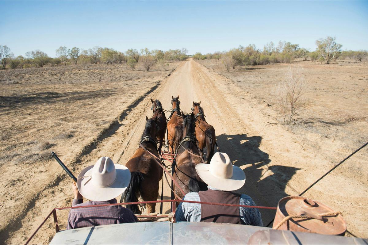Cobb and Co Stagecoach Experience