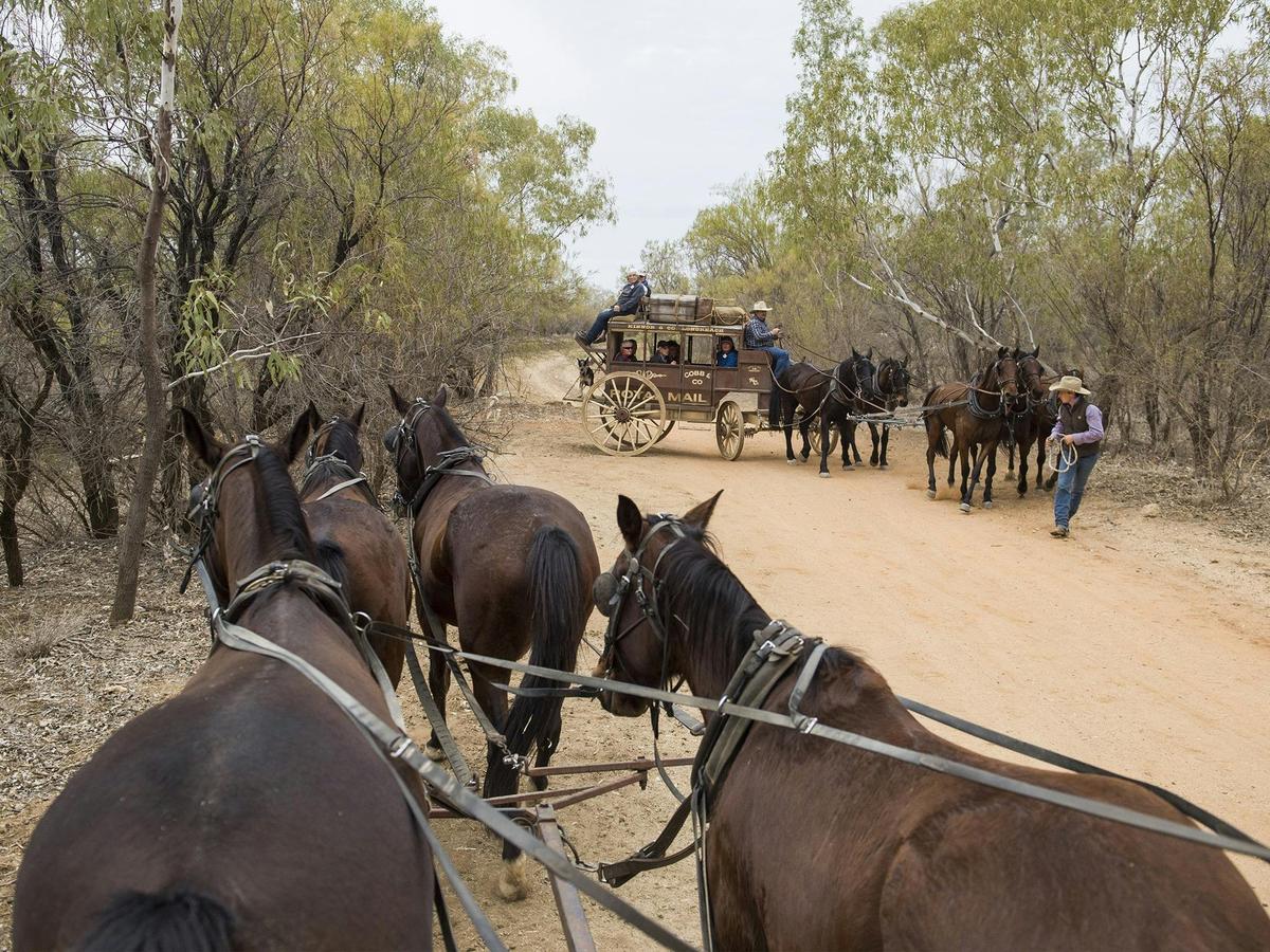 Cobb and Co Stagecoach Experience