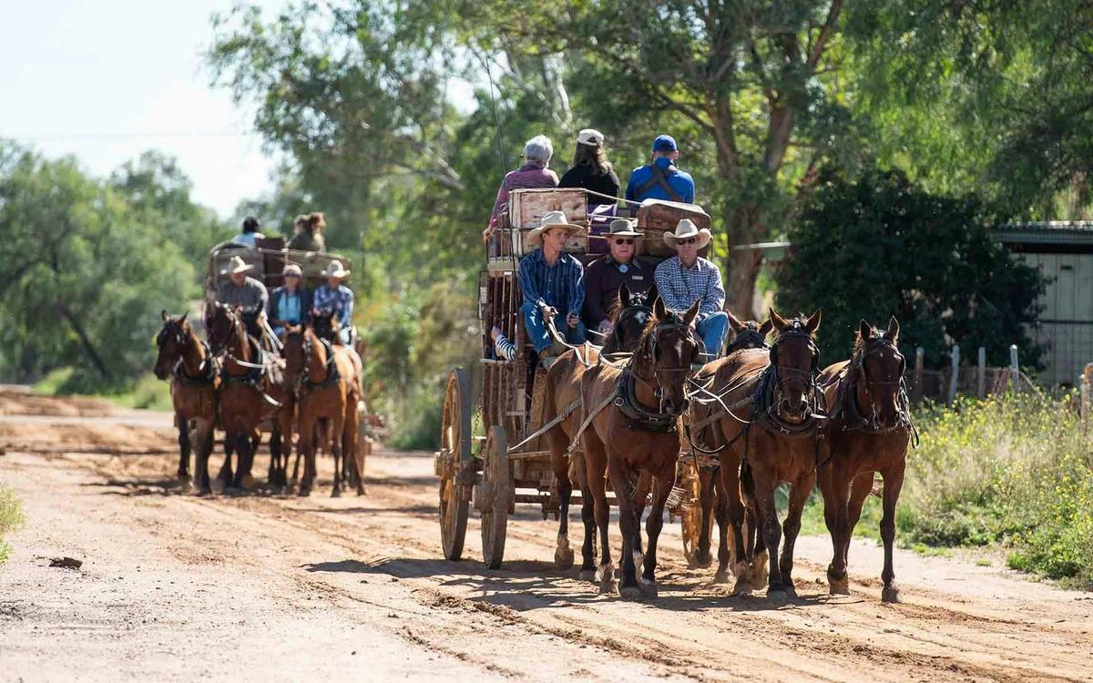 Ride a Cobb and Co Stagecoach in Longreach