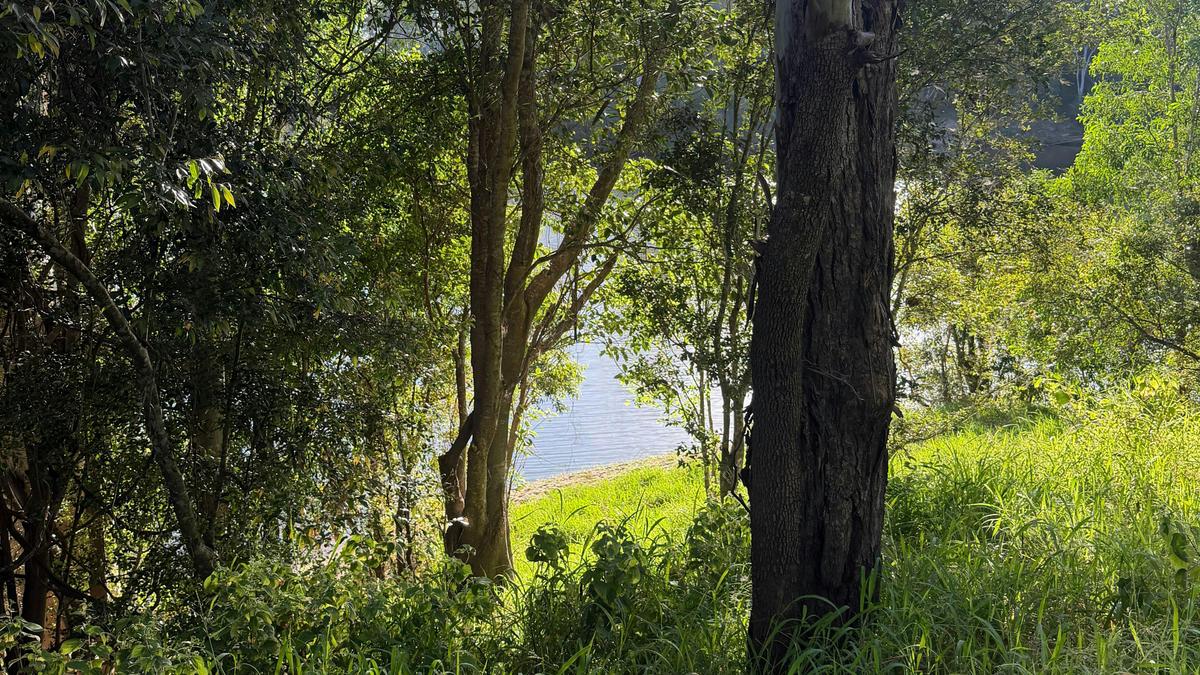 “Shepherds Hill” on the Mary River