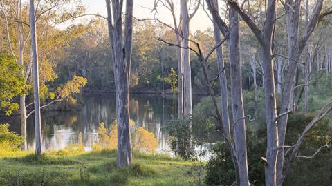 “Shepherds Hill” on the Mary River