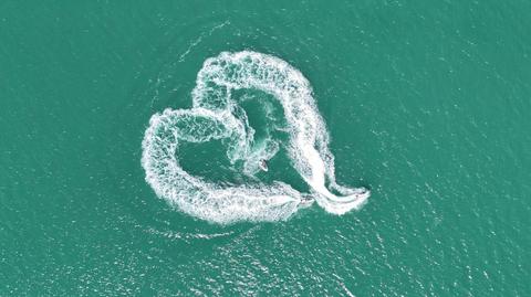 Moreton Bay Jet Ski Tour