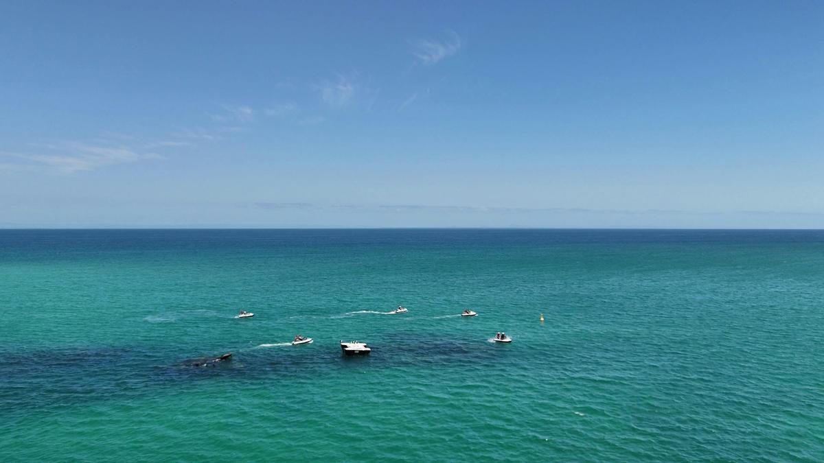 Tangalooma Snorkel Jet Ski Tour