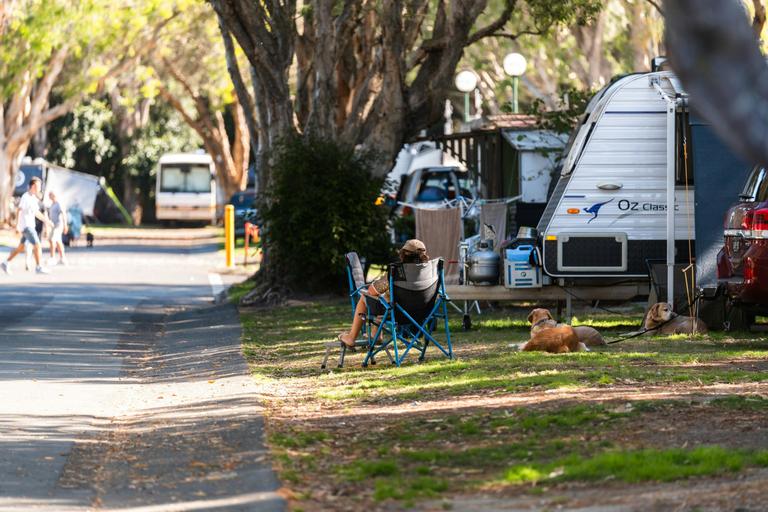 Pet-friendly days out