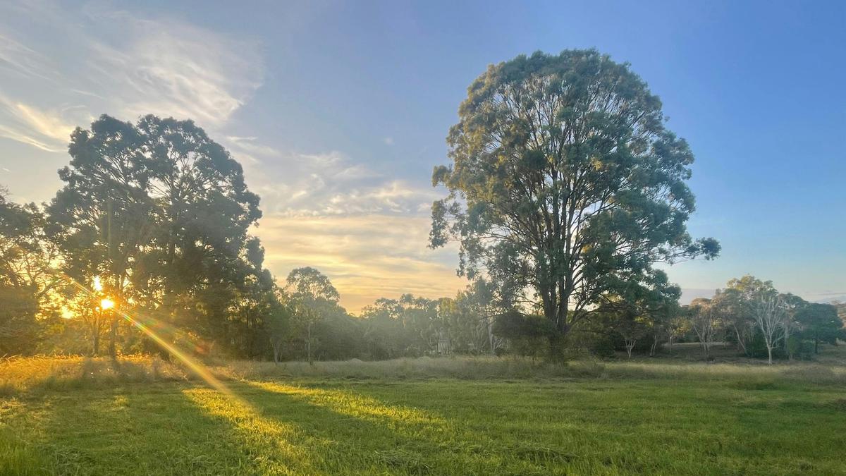 Myola Bush Retreat