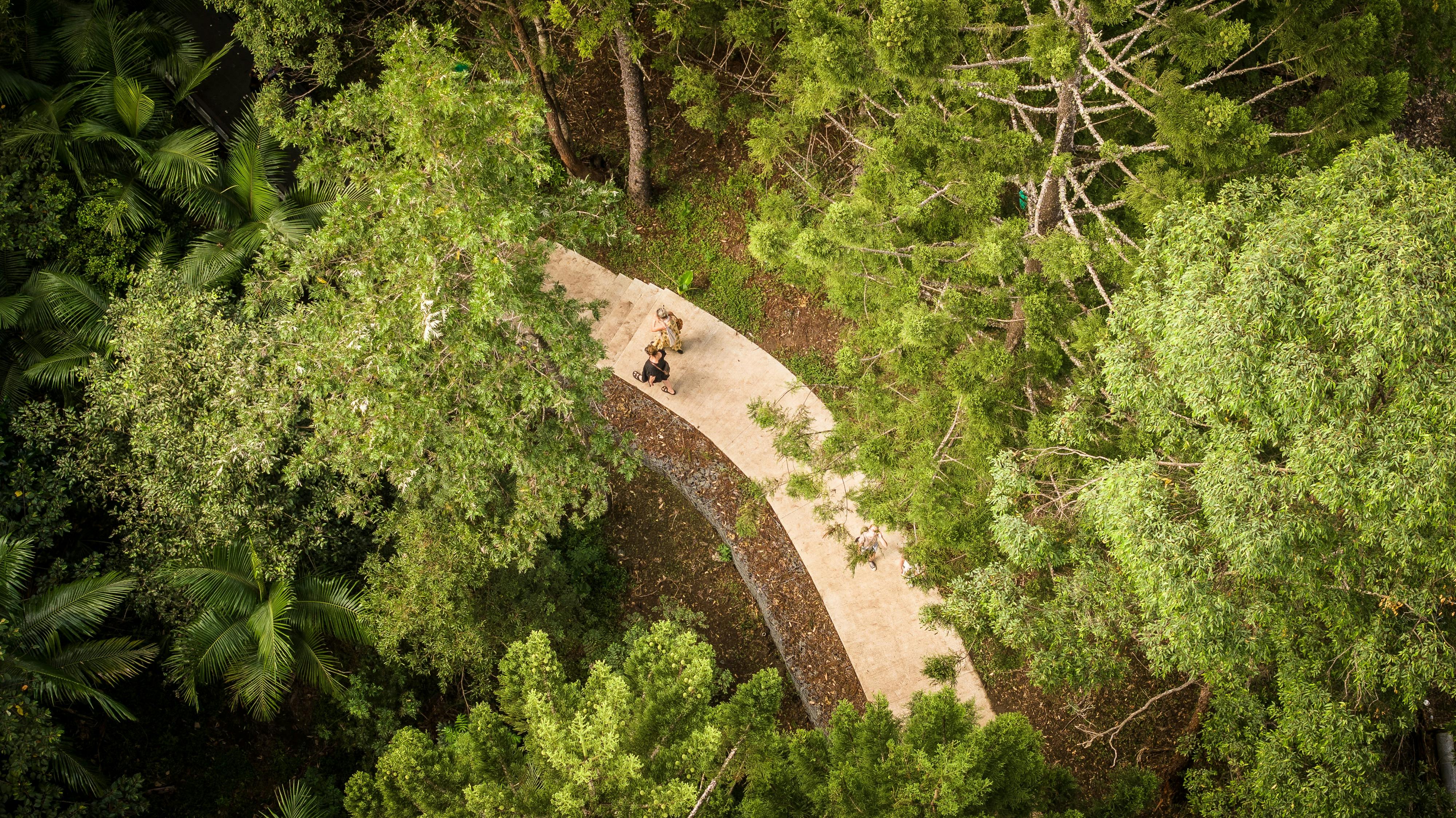 Scenic view of Nimbin Rainbow Walk