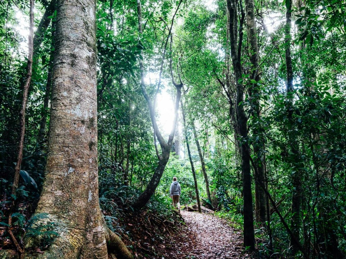 Iconic Queensland - Rainforest to the Reef 2026