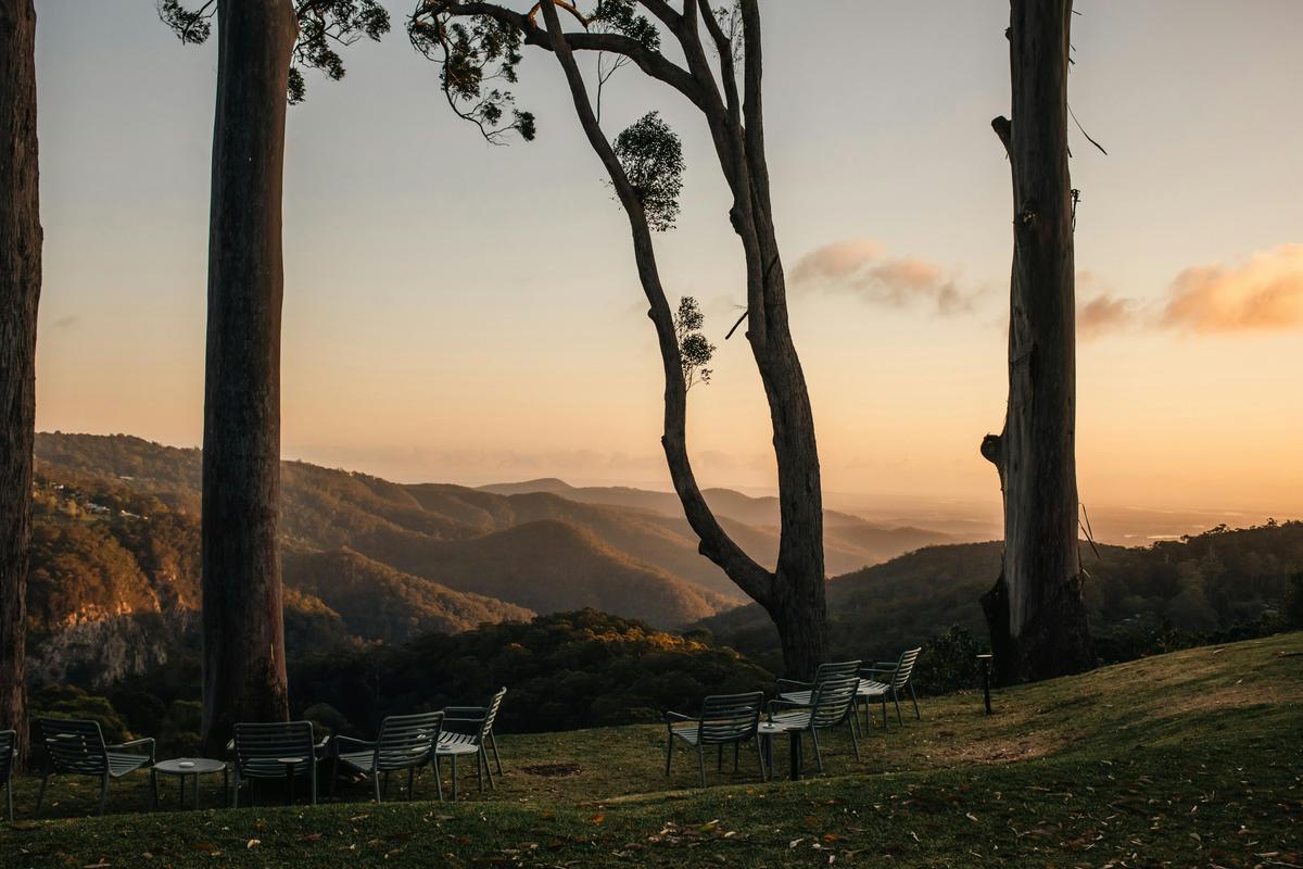 A Zen Rainforest Retreat: Hinterland Tastes, Trails & Tranquillity