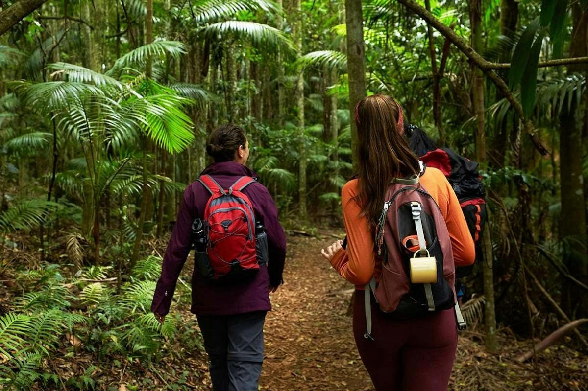 Botanicals & Bathhouse Experience: A Day of Indulgence on Tamborine Mountain