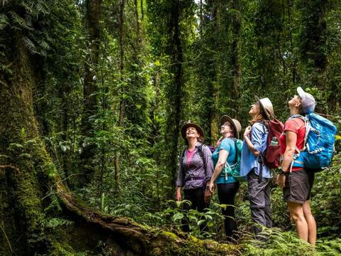 A Zen Rainforest Retreat: Hinterland Tastes, Trails & Tranquillity