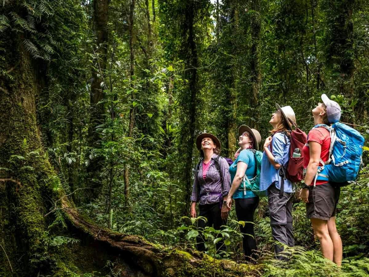 A Zen Rainforest Retreat: Hinterland Tastes, Trails & Tranquillity