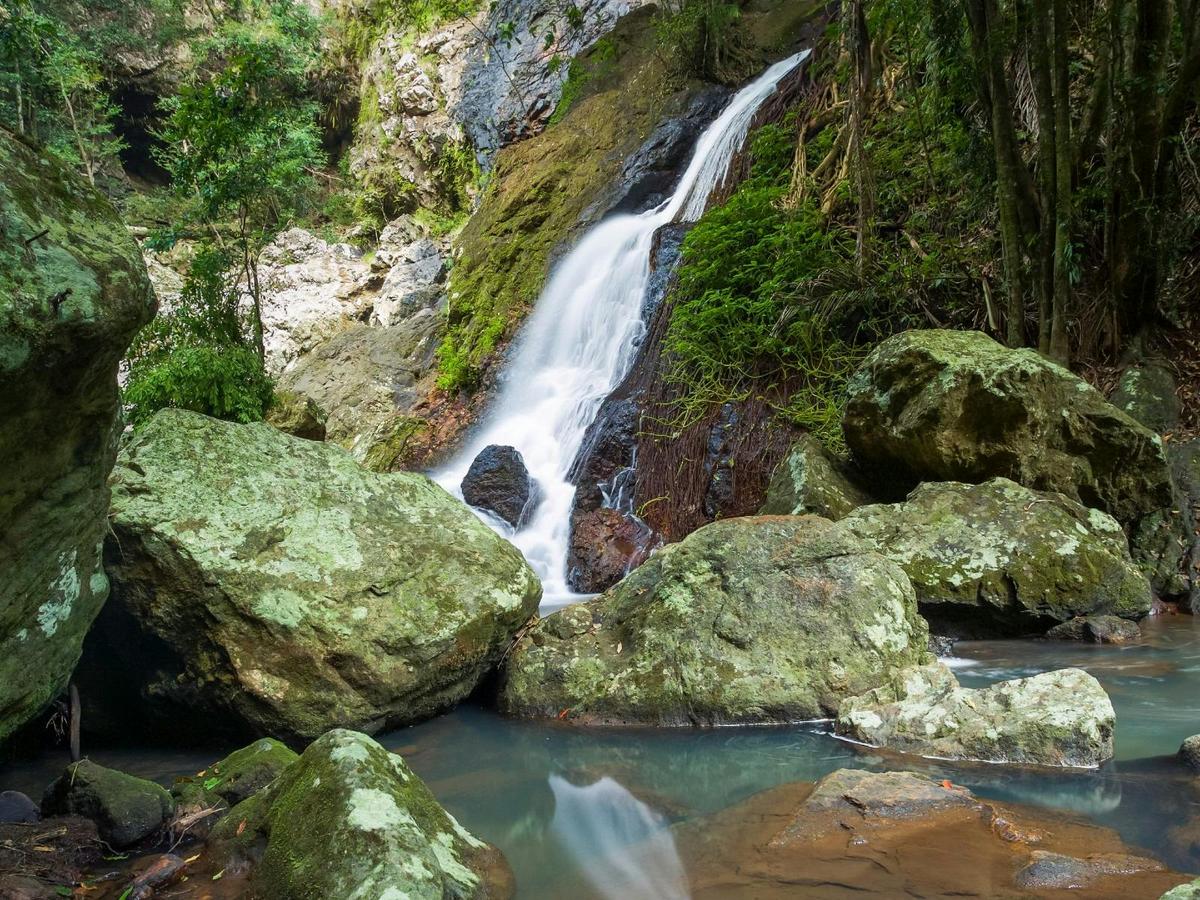 Iconic Queensland - Rainforest to the Reef 2026
