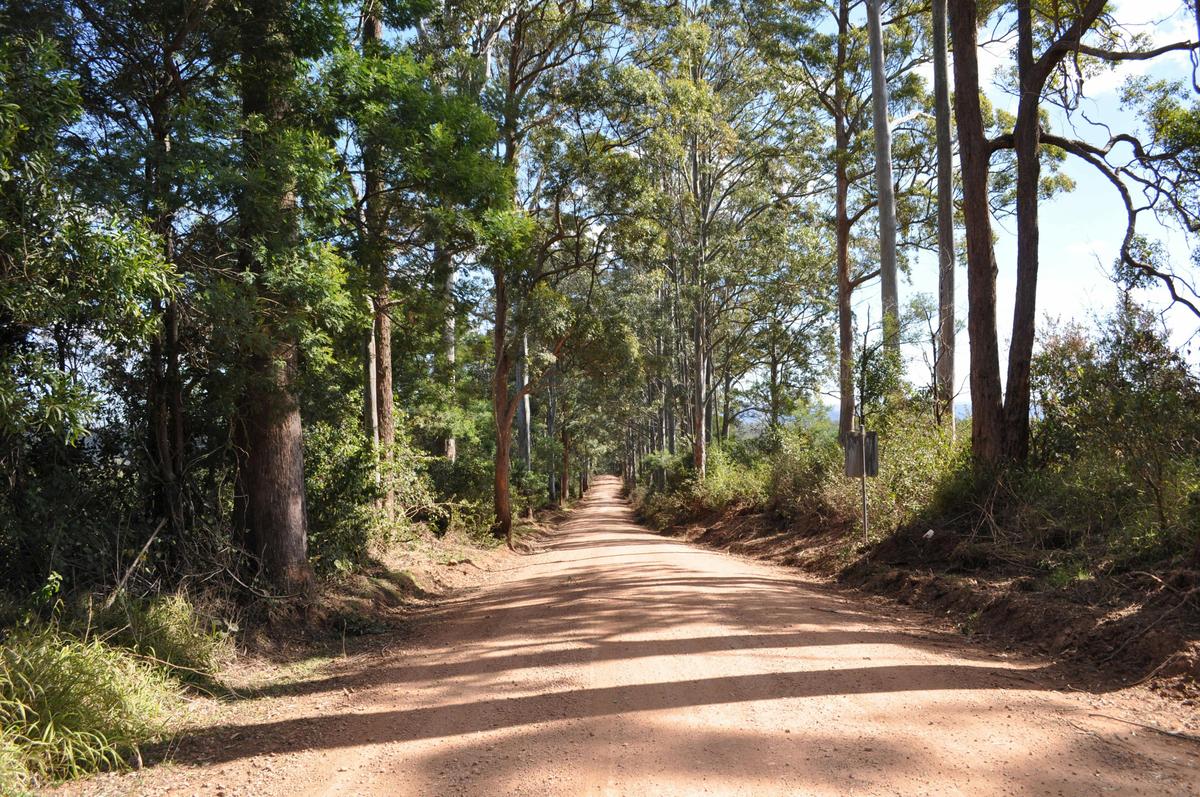 Country back road, Perseverance
