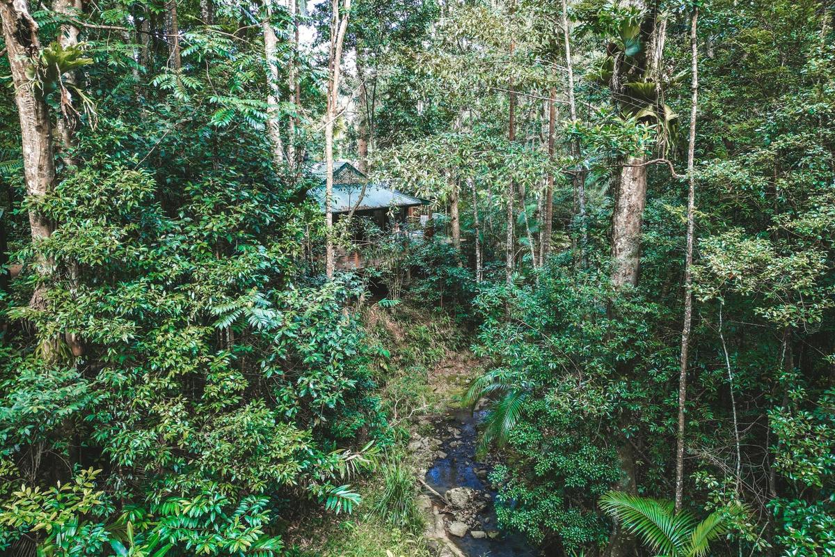 Kookaburra villa nestled in the rainforest with the creek bubbling on by