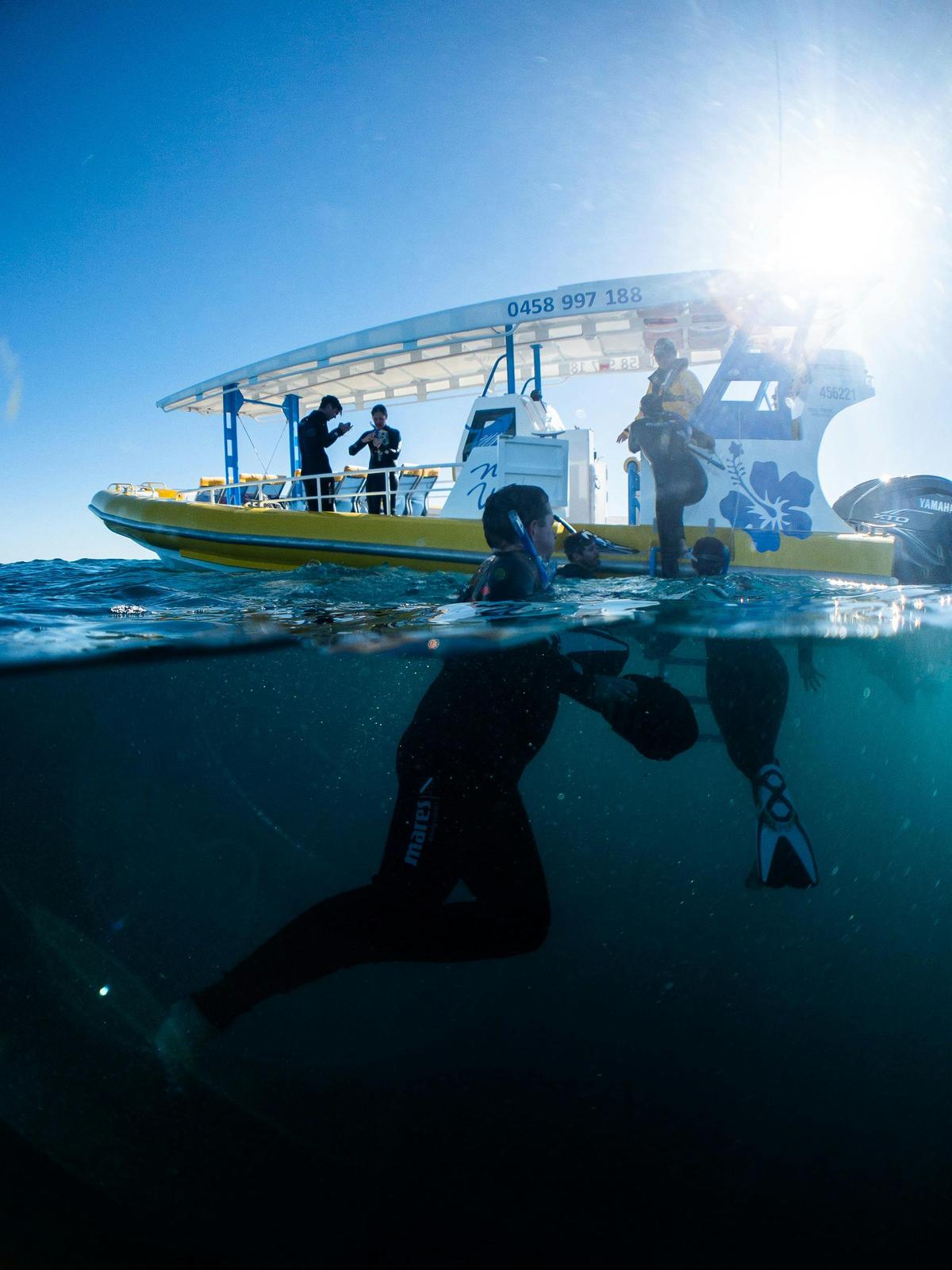Noosa Wave Ocean Adventures