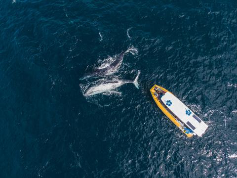Noosa Wave Ocean Adventures