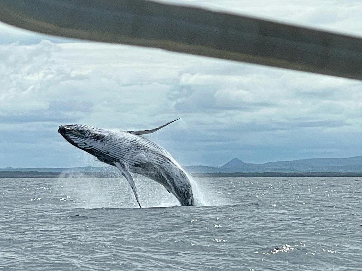 Noosa Wave Ocean Adventures