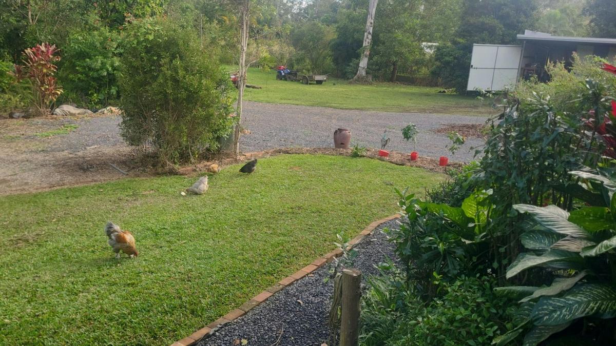 Permaculture and Pup Paradise