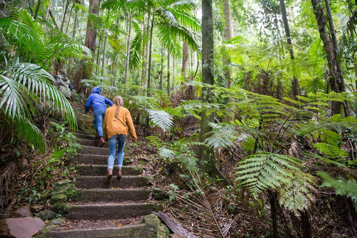Mount Glorious