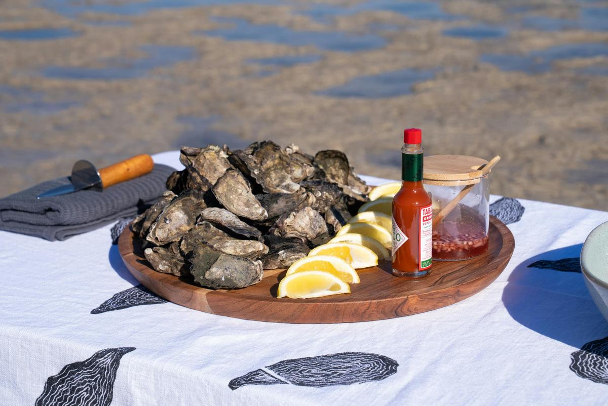 Quandamooka Oyster Farm Tours