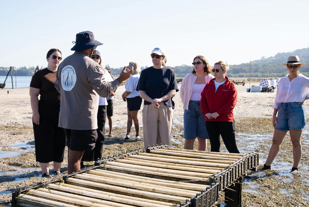 Quandamooka Oyster Farm Tours