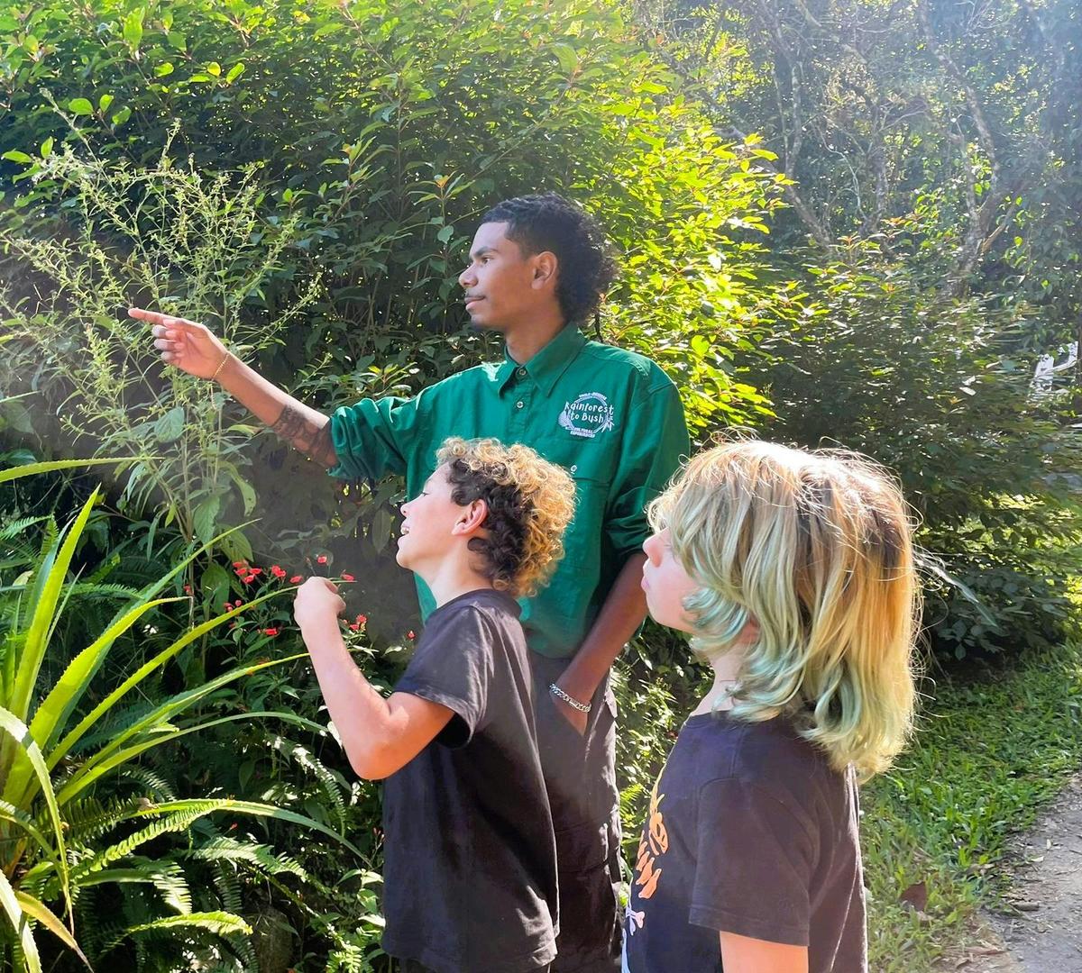 Rainforest To Bush Cultural Experiences