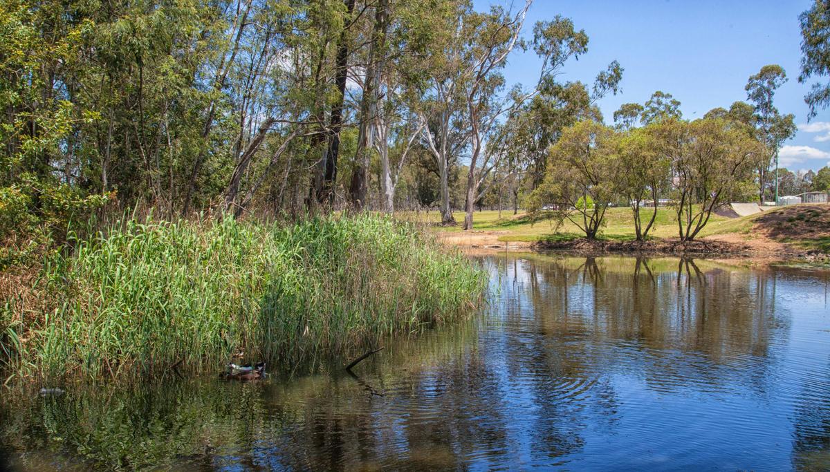 Water hole at Pioneer Park, Nanango