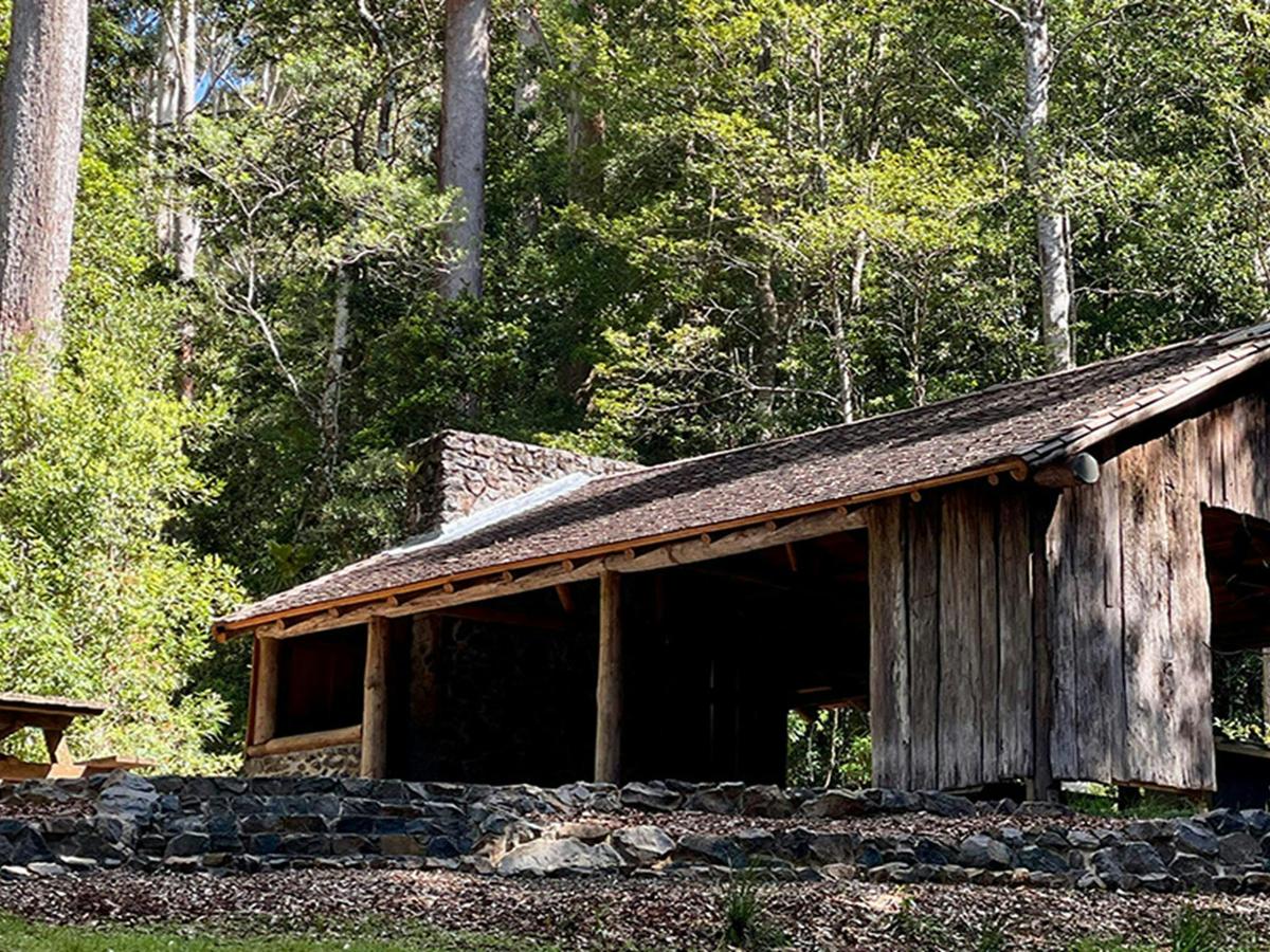 A shelter at Never Never picnic area surrounded by tall trees and bush in Dorrigo National Park.