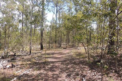 Promisedland Road Mountain Biking Trails