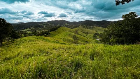 Red Cedar Valley