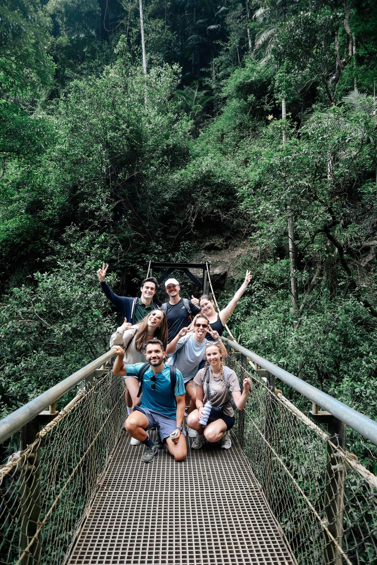 Super 7 Waterfalls and Natural Bridge Tour at Springbrook National Park