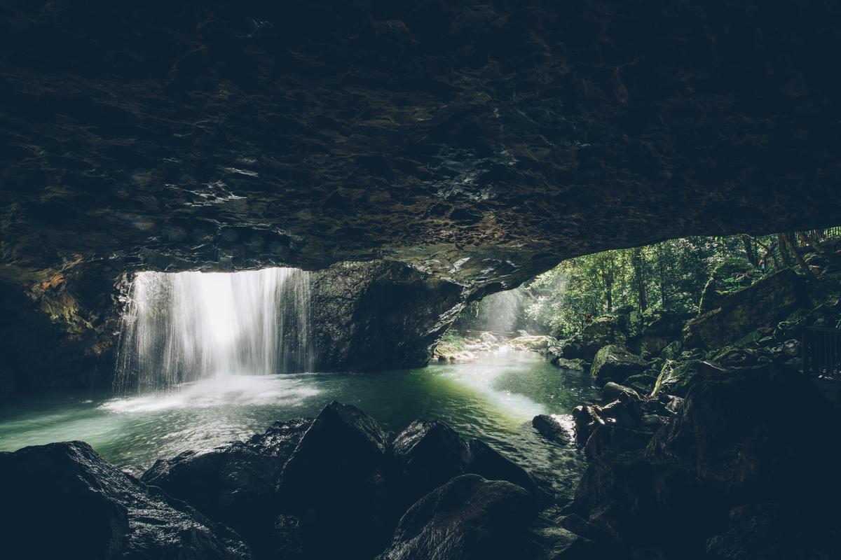 Super 7 Waterfalls and Natural Bridge Tour at Springbrook National Park
