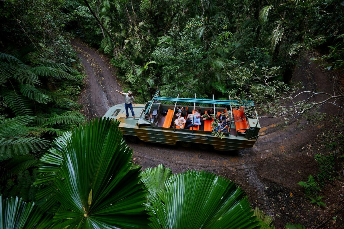 Immerse in the rainforest on abroad a unique amphibious Army Duck, Rainforestation Nature Park