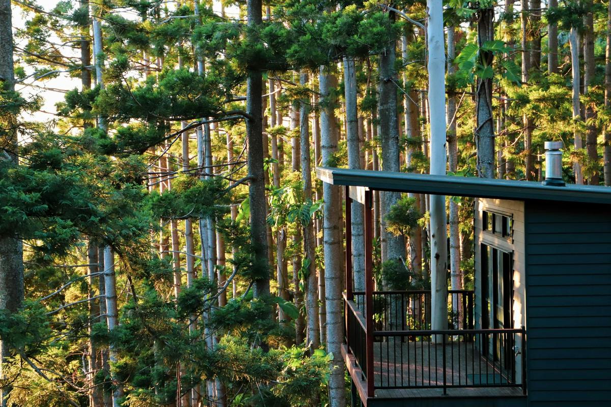 Rainforest Gardens Escape