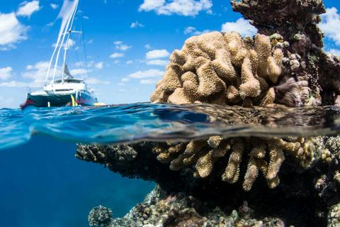 Great Barrier Reef & Walking Brewery Tour Combo