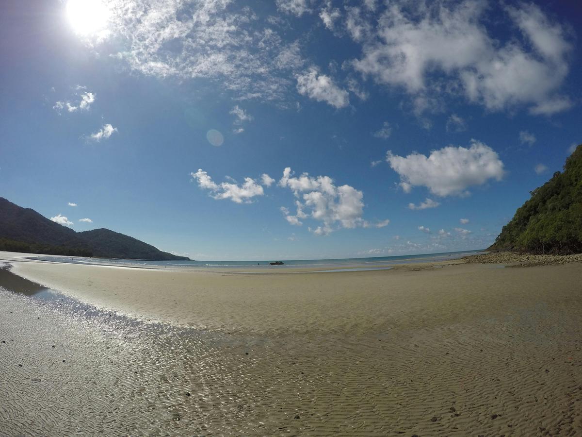 Private Daintree Rainforest Tour