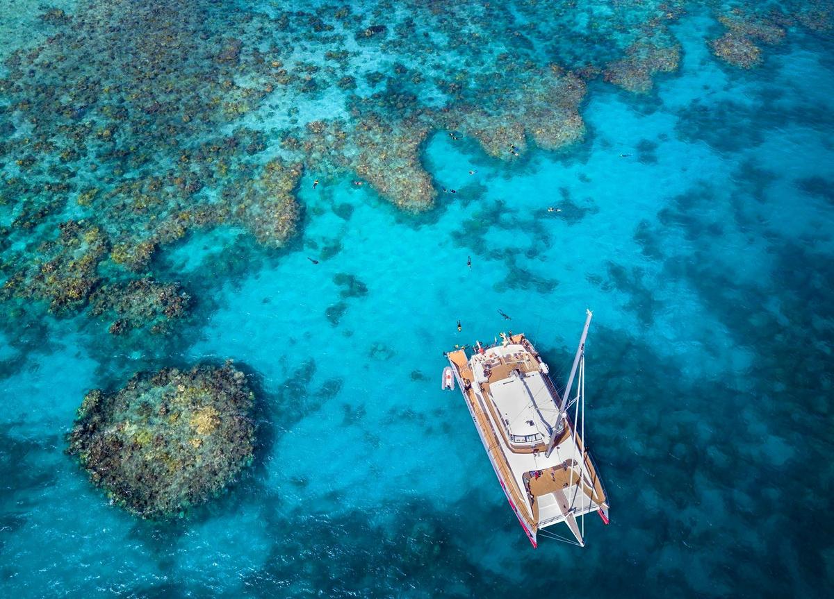 Great Barrier Reef & Walking Brewery Tour Combo