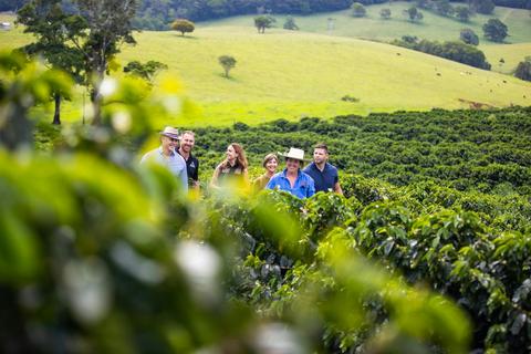 Boutique Cairns Tablelands Tasting Tour