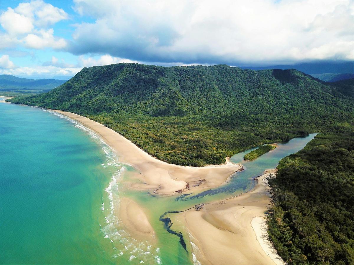 Private Daintree Rainforest Tour