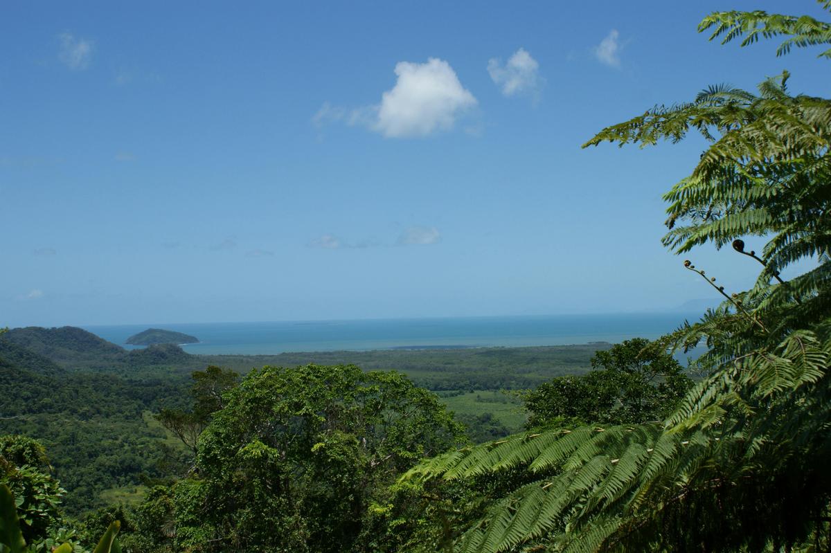 Private Daintree Rainforest Tour