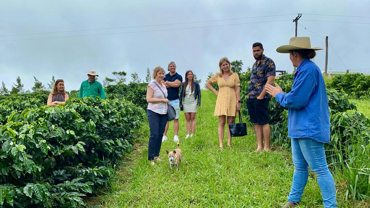 Boutique Cairns Tablelands Tasting Tour
