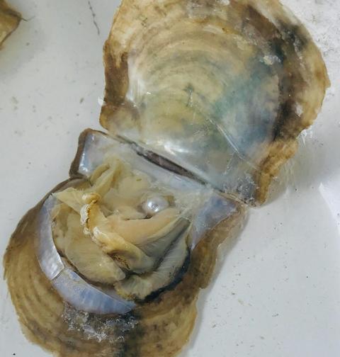 Paradise Pearls