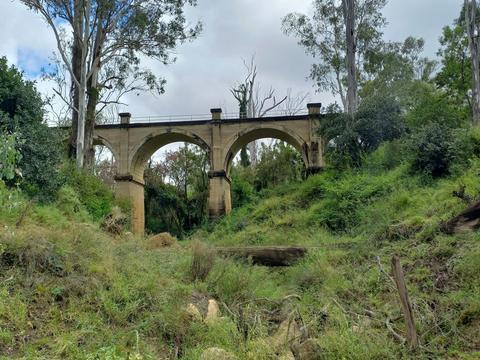 Morning Bridge Tour