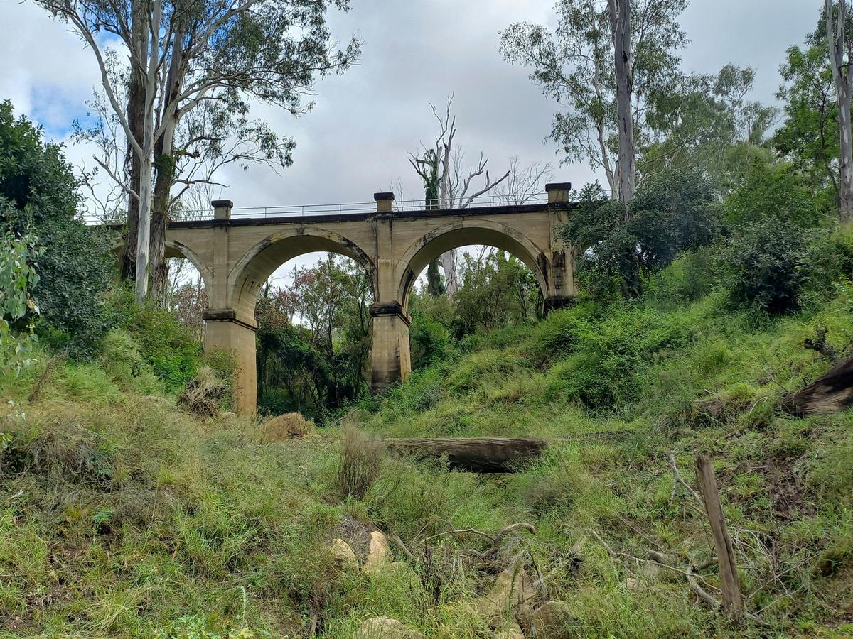Morning Bridge Tour
