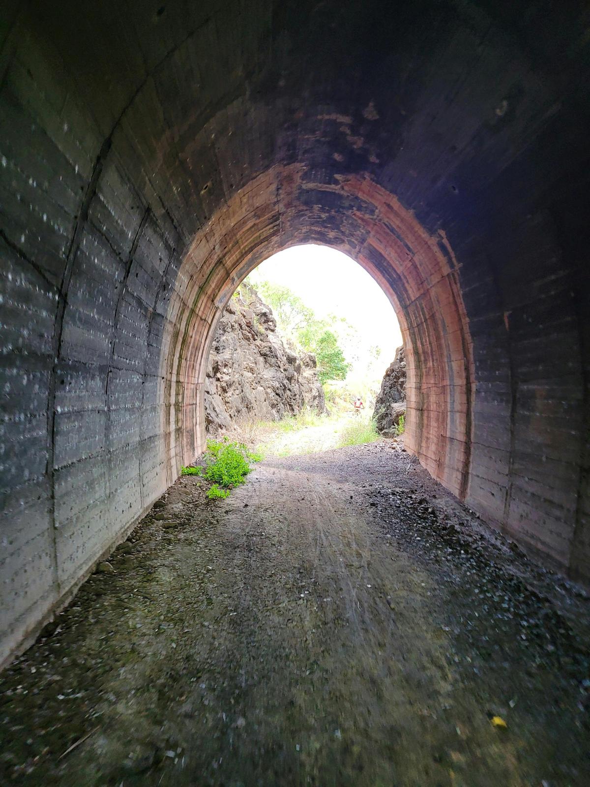 Morning Tunnel Tour