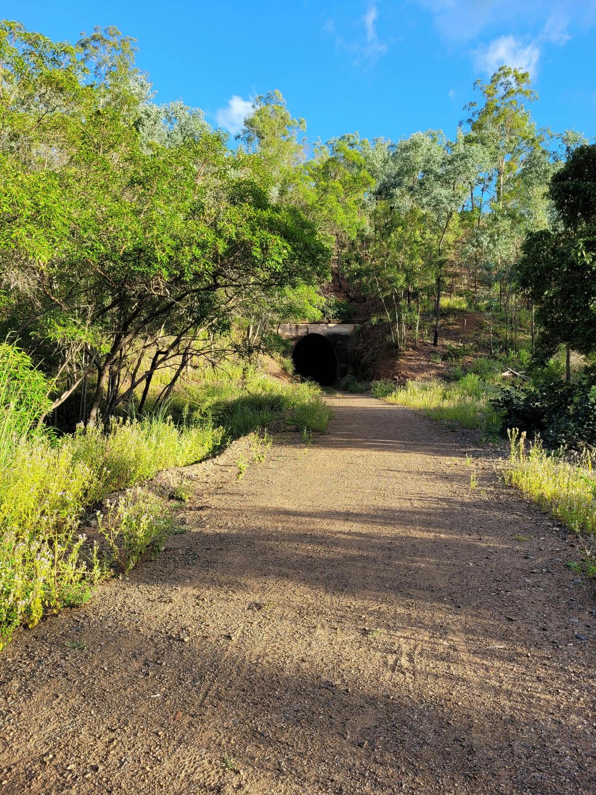 Rail Trail on the Dawes Range section
