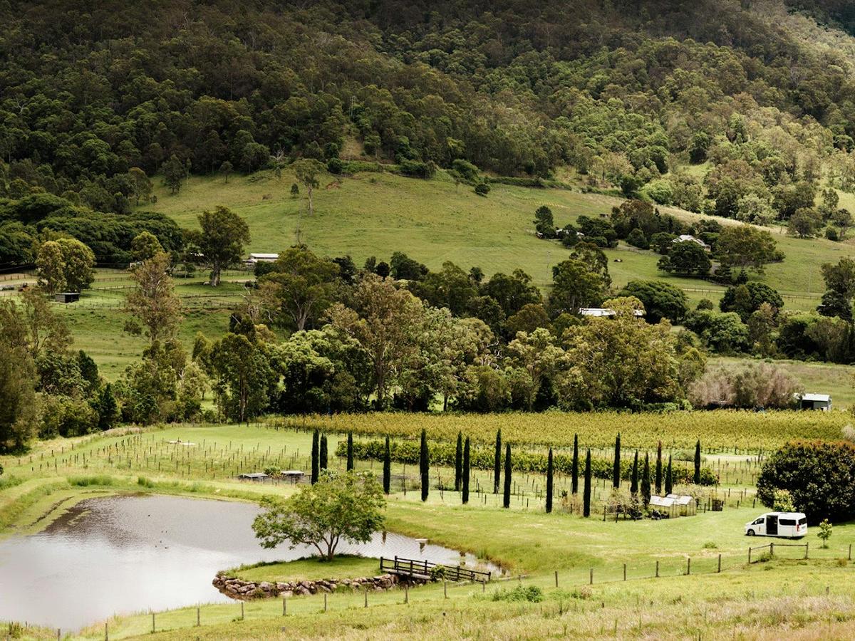 Scenic Rim Winery Tours